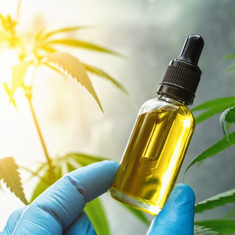 CBD Oil